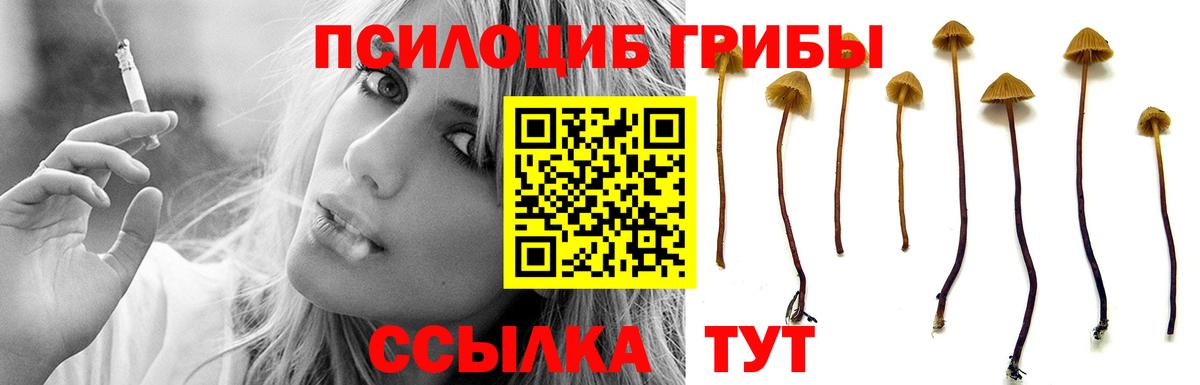 Псилоцибиновые грибы GOLDEN TEACHER Лысьва